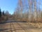 Road in forest in Siauliai county during sunny early spring day