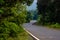 Road | Forest | Tahini Ghat