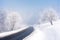 Road through forest in winter