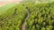 Road in a forestry area. Navarre, Spain, Europe.