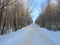 Road in the forests.