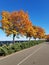 The road goes into the distance. Bright blue sky. Quay. Autumn.