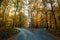 Road goes two ways directions in a beautiful autumn forest symbol of making a decision