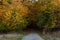 Road going into autumn forest vibrant bautiful scene natural warm colors in Bulgaria