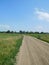 Road going into the distance into the field on a summer day