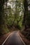 Road going down from Pesaro to the San Bartolo Mount