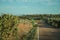 Road going up the hill covered by olive trees