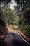 Road going up from Pesaro to the San Bartolo Mount