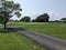 Road Grass tree clouds golf