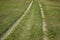 Road in the grass and wheel track. The spring landscape and traces from the passage of transport on the surface