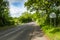 Road through the green countryside