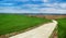 Road among the green field and beautiful hilly landscapes of plowed fields
