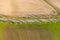 Road between green field and cultivated ground with yellow trees at sunset in autumn. Aerial view on empty asphalt speedway or.