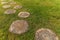 Road on a green field. Wooden walkway of tree stumps on green grass in park, selective focus, top view