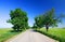 Road among green fields, blue sky above