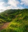 The road among the green hills, which are illuminated by the sun, on which there are power poles