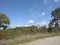 Road green nature with cloudly blue sky