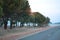 The road, the green trees are slightly covered with frost, early in the morning