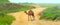 road green view camel hills