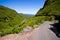 Road high in the Madeiran mountains - Portugal