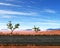 Road, Highway, Desolate Desert, Outback, Illustration