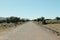 On the road - Highway through the grassland Fanal, Madeira, Portugal