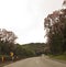 road, highway, path, curves, traffic, native trees serra do mar south coast of brazil, Tibouchina sp