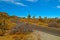 Road through Joshua Tree