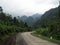 Road in the jungle (Vietnam)