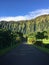 Road the the koolau