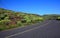 Road in the La Gomera