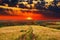 Road landscape sunset summer nature field sky