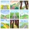 Road landscape vector roadway in forest or way to field lands with grass and trees in countryside illustration journey