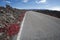 Road through lava fields, Mauna Loa Observatory Road. Big Island Hawaii