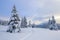 On the road on the lawn the man stands and watches the mountains. Fluffy fair trees are arround. Winter scenery