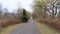 Road leading through a green park on a gloomy autu