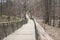 Road Leading Into the misty forrest