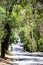 Road leading through natural Australian bushland in Adelaide Hills.