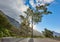 A road leading to Table mountain in Cape Town, South Africa against blue sky copy space on a sunny morning. A highway