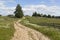 Road leading to the village of the Russian North