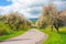 road leads through an idyllic countryside of blooming trees and vast fields