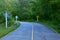 Road Left Turn Yellow Road Sings Line Forest Background