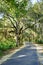 A road in the lettuce park