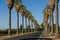 Road lined in Palm Trees