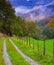 Road that is lost in the forest in autumn, Araitz valley, Navarra