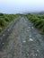 Road on Macquarie island, subantarctic region, Australia