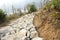 Road made with stone in a village of sillery gaon, kalimpong