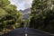 A road through the Majorcan countryside