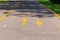 Road marking on the asphalt bike path in autumn park