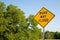 Road May Flood Sign In Spring With Green Trees And Clear Blue Sky